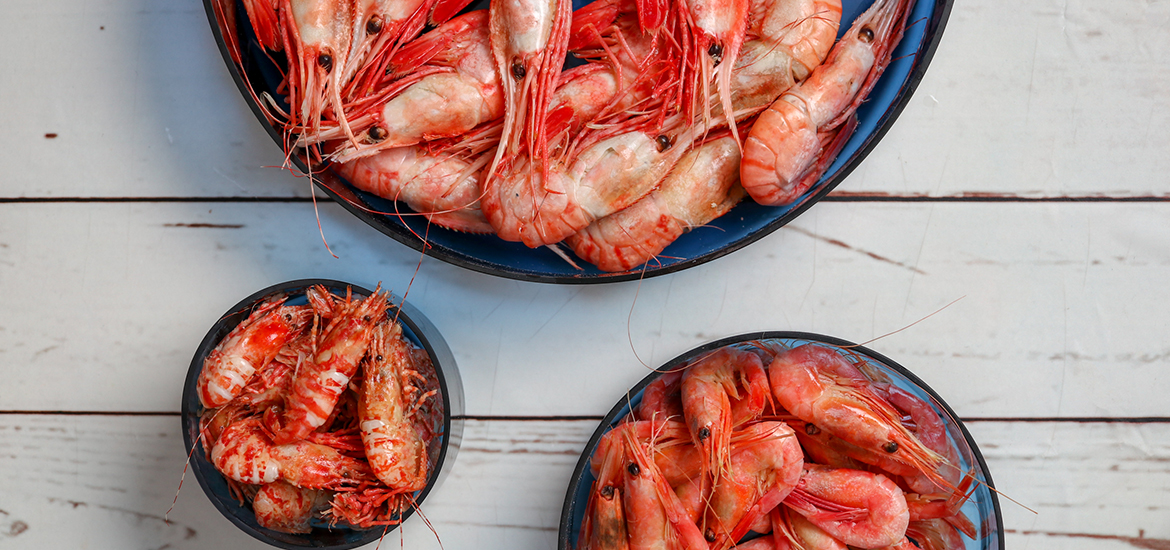 NAEShrimpsinblue